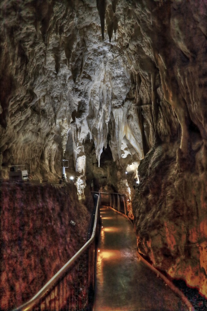 IMG_2045 HDR Waitomo Caves2